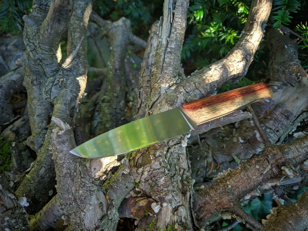 Couteau de table Kids lame inox – Atelier sous l’éclipse